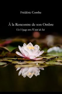 À la rencontre de son ombre - Un voyage vers l'unité de soi