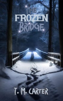 The Frozen Bridge - A Detective Rooks Series, #1