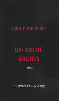 Un sacré gâchis - Roman