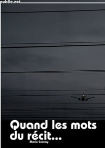 Quand les mots du récit... - Chronique d'un tribunal de grande instance, aux temps de l'identité nationale