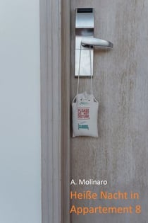 Heiße Nacht in Appartement 8 - Eine sinnliche Kurzgeschichte voller knisternder Erotik