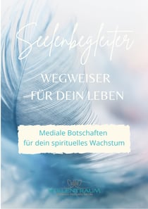 Seelenbegleiter - Wegweiser für dein Leben