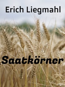 Saatkörner