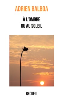 À l'ombre ou au soleil - Recueil