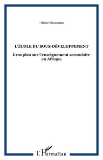 L'école du sous-développement - Gros plan sur l'enseignement secondaire en Afrique