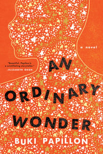 An Ordinary Wonder - A Novel