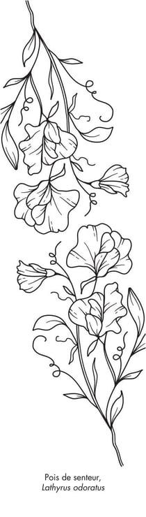 Marques-pages - Botanica