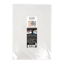 Lot de 25 feuilles fondantes alimentaires Gatocopy Patisdécor - Type C - Format A4 - 1 kg