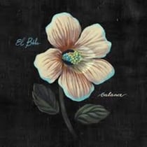 Balance - édition limitée colorée