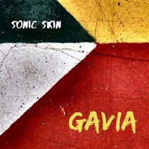 Berggren: Gavia