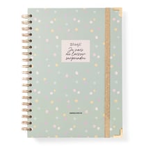 Agenda semainier 2025-2026 Mr Wonderful - Je vais me laisser surprendre - format XL
