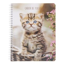 Cahier de texte à spirale - Chat - 17 x 22 cm
