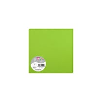 25 cartes Pollen 160x160 mm  - Vert menthe