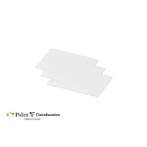25 cartes Pollen 70x95 mm  - Blanc irisé