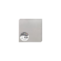 25 cartes pliées Pollen 135x135 mm  - Argent