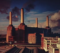 Animals - CD