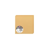 25 cartes pliées Pollen 135x135 mm  - Caramel