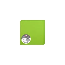25 cartes pliées Pollen 135x135 mm  - Vert menthe