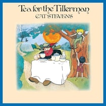 Tea For The Tillerman - Vinyle