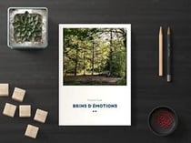 Brins d'emotions