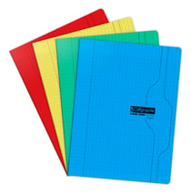 Cahier Calligraphe - Modèles aléatoires – 24 x 32 cm – 96 pages seyès - Vendu à l'unité