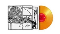 Begin - édition limitée colorée