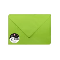 20  enveloppes Pollen 162x229 mm  - Vert menthe