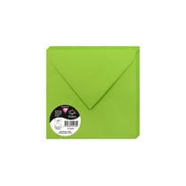 20  enveloppes Pollen 165x165 mm  - Vert menthe