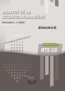 Processus 6 : Analyse de la situation financière - BTS CG - Énoncé