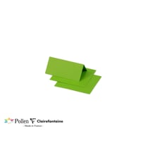 25 marque-places Pollen 85x80 mm - Vert menthe