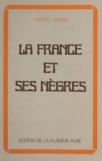 La France et ses nègres