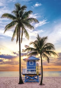 Puzzle 500 pièces - Floride : Miami Beach - Ravensburger