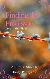 Finding the Professor While Lost in Her Ship - Finding the Professor, #3
