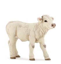 Veau charolais - PAPO - 51157