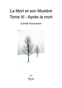La Mort et son Mystère, tome III - Après la mort