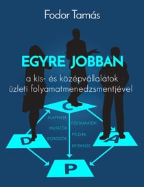 Egyre jobban a kis- és középvállalatok üzleti folyamatmenedzsmentjével
