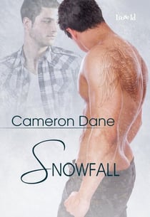 Snowfall - Coleman, Florida, #4