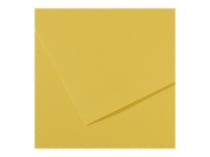 Feuille Mi-Teintes - 50x65cm - 160g - anis