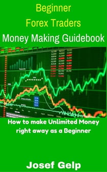Beginner Forex Traders Money Making Guidebook - Beginner Investor and Trader series