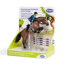 Cheval de saut d'obstacle et son cavalier