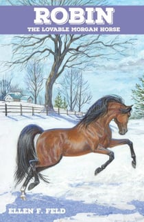Robin: The Lovable Morgan Horse - The Morgan Horse Series, #4