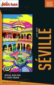Guide Séville City Trip 2025/2026 City trip Petit Futé