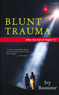 Blunt Trauma - After the Fall of Flight 111