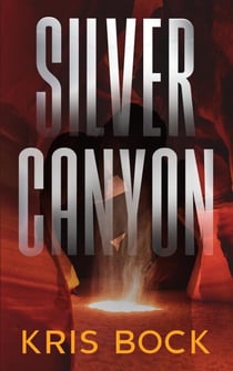 Silver Canyon - Southwest Treasure Hunters, #3