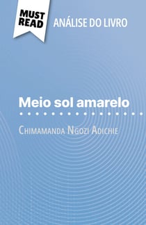Meio sol amarelo de Chimamanda Ngozi Adichie (Análise do livro) - Análise completa e resumo pormenorizado do trabalho