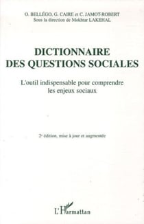 Dictionnaire des questions sociales - L'outil indispensable pour comprendre les enjeux sociaux