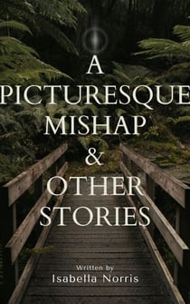 A Picturesque Mishap & Other Stories