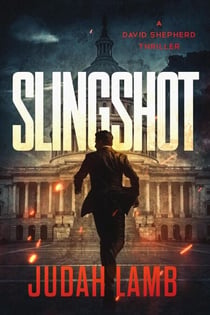 Slingshot - David Shepherd Thrillers, #1