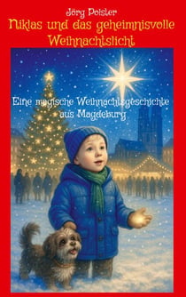 Niklas  und das geheimnisvolle Weihnachtslicht - Eine magische Weihnachtsgeschichte aus Magdeburg