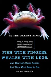 At the Water's Edge - Fish with Fingers, Whales with Legs, and How Life Came Ashore but Then Went Back to Sea